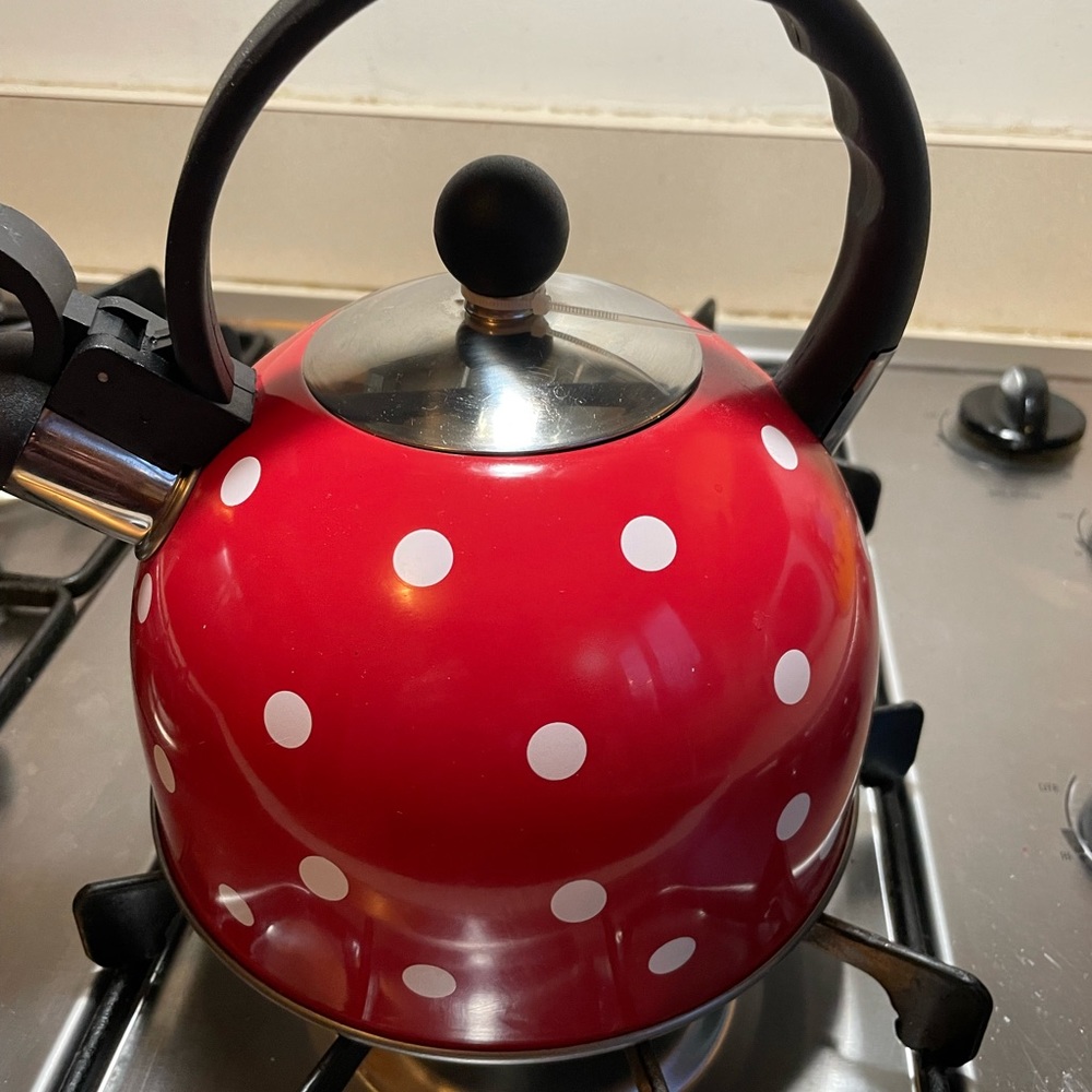 Polka Dot Tea Kettle